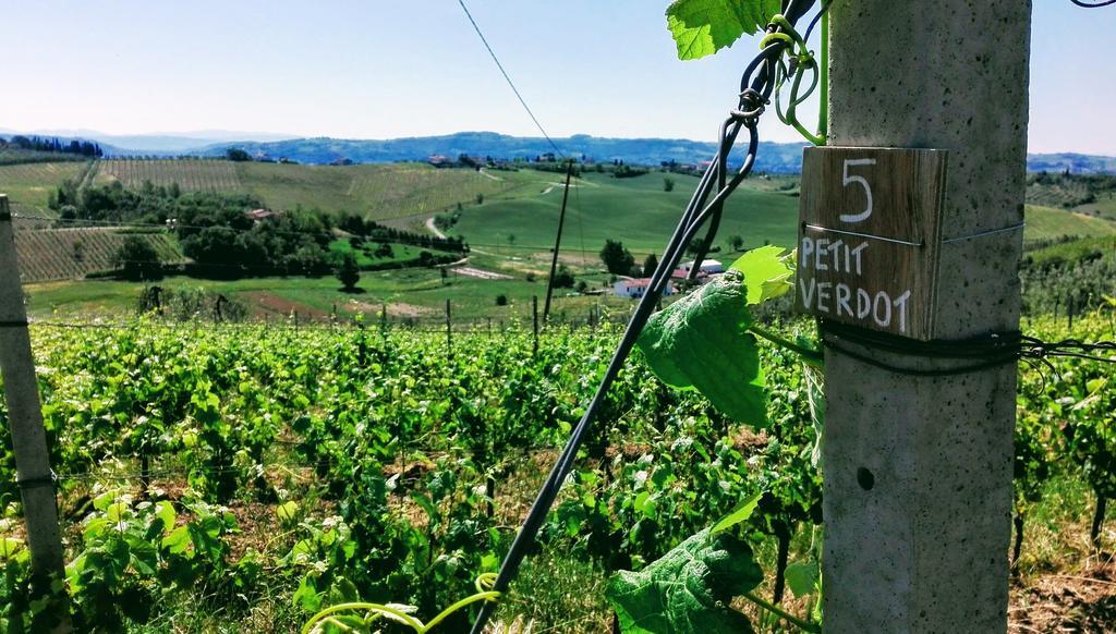 Agriturismo Luggiano Vinci Buitenkant foto