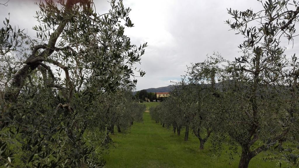 Agriturismo Luggiano Vinci Buitenkant foto