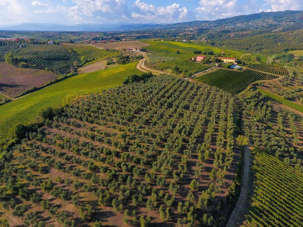 Agriturismo Luggiano Vinci Buitenkant foto