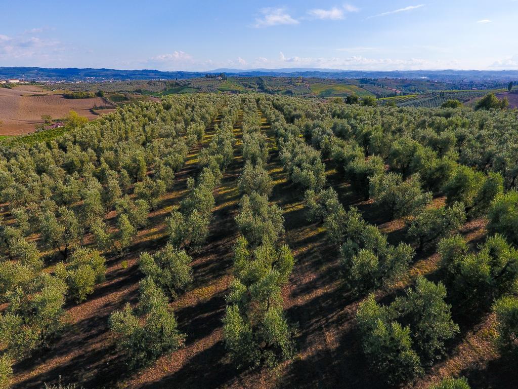 Agriturismo Luggiano Vinci Buitenkant foto